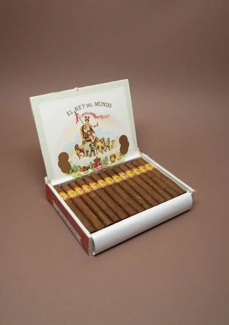El Rey del Mundo, Demi Tasse